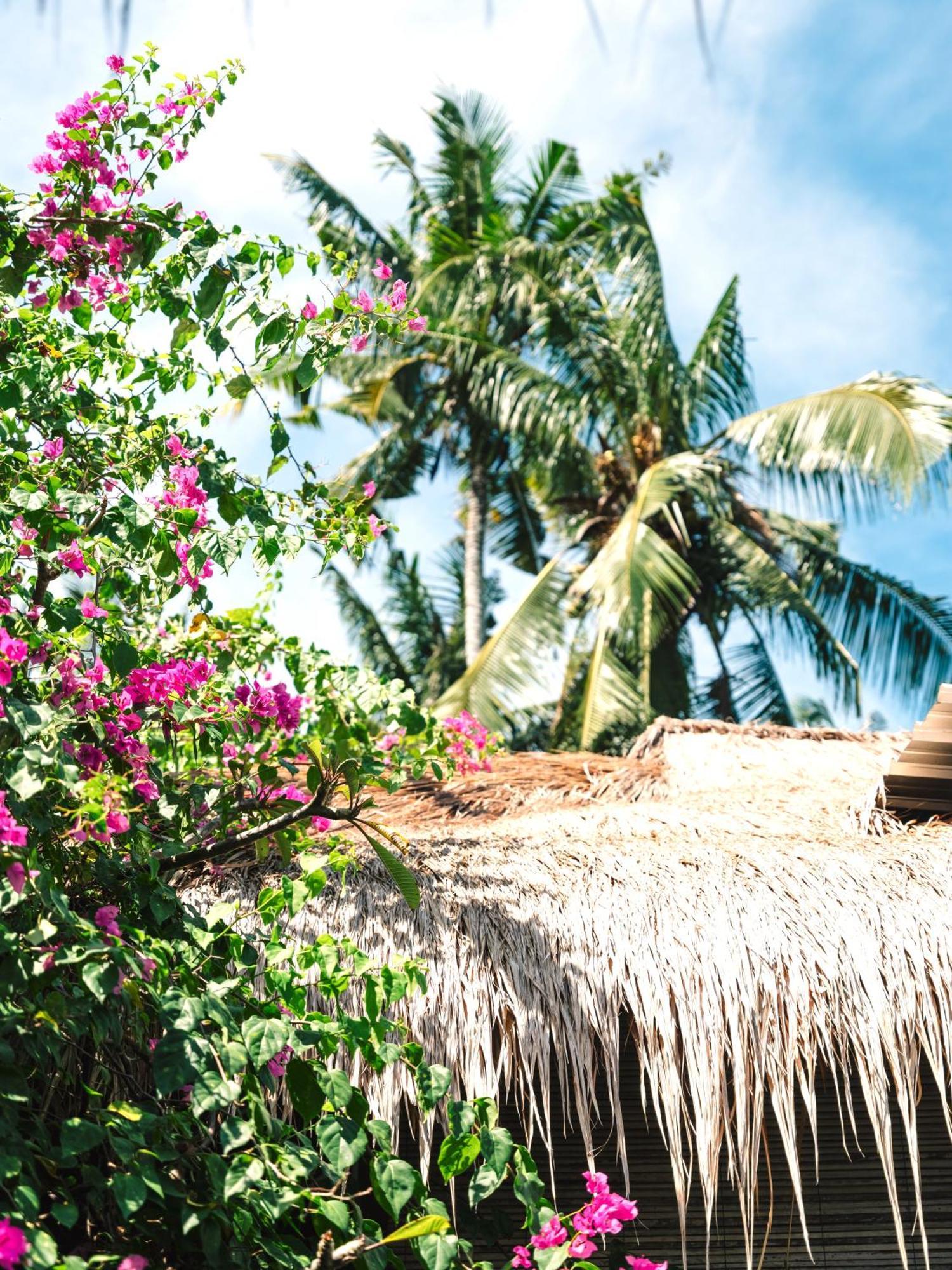 Mewali Villa'S Kuta  المظهر الخارجي الصورة